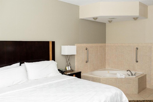 Holiday Inn Effingham image 24