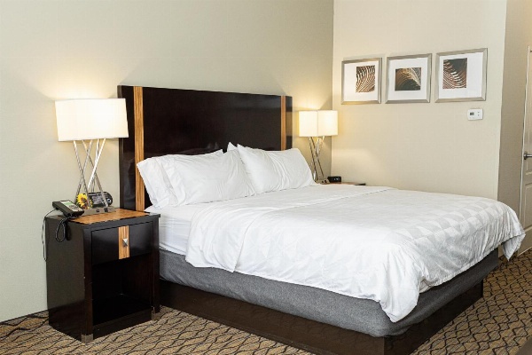 Holiday Inn Effingham image 3