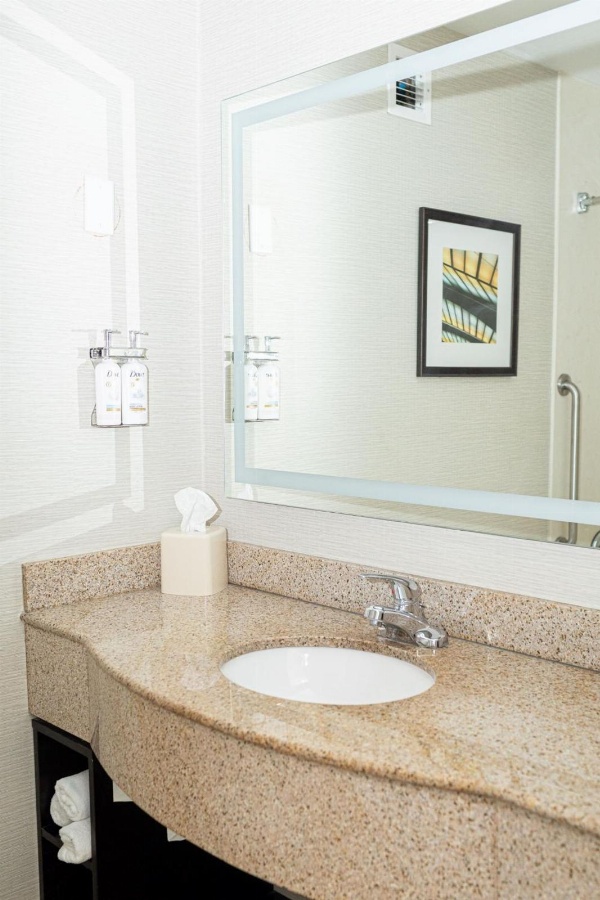 Holiday Inn Effingham image 5